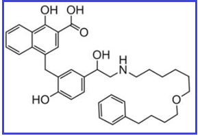 Salmeterol EP Impurity H